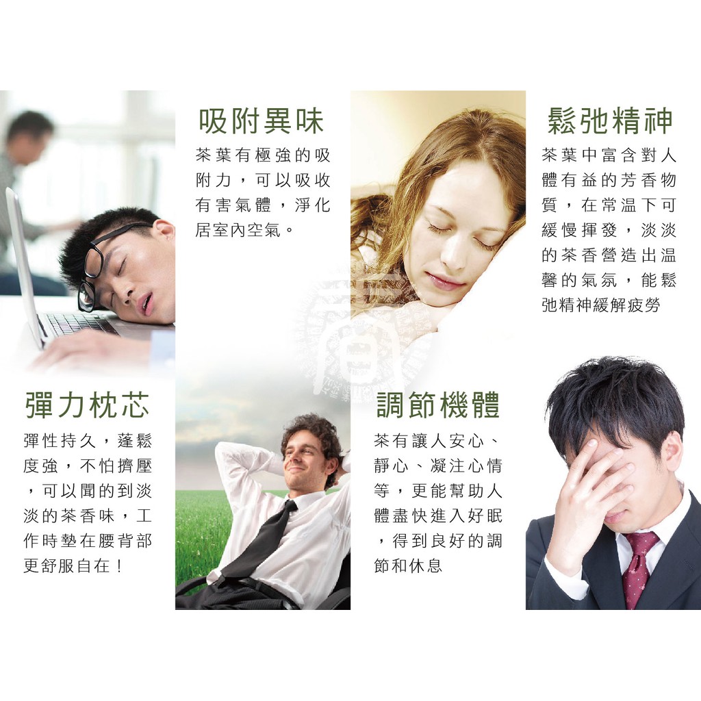 派樂 鐵觀音 彈力透氣 茶枕