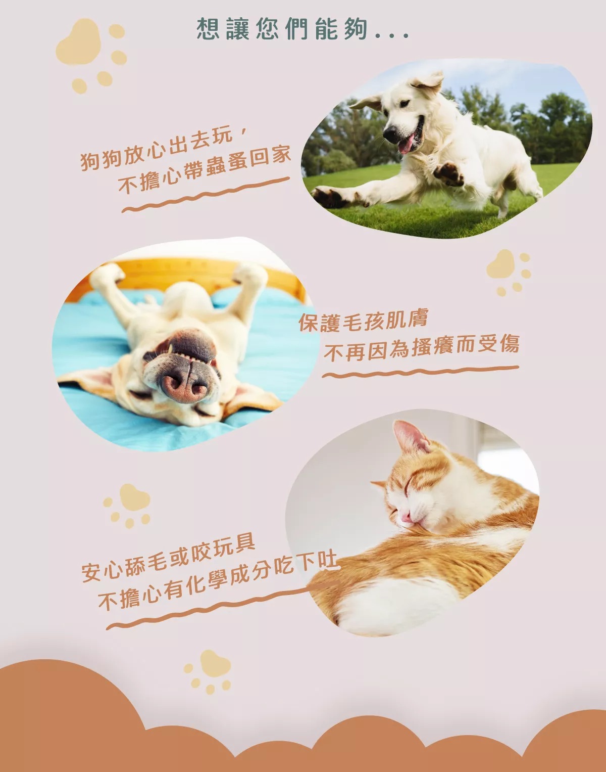 03-MIDA PET 蟲蚤掰掰 洗毛精 【愛家捷】MIDAPET蟲蚤洗毛精