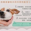 04-MIDA PET 蟲蚤掰掰 洗毛精 【愛家捷】MIDAPET蟲蚤洗毛精