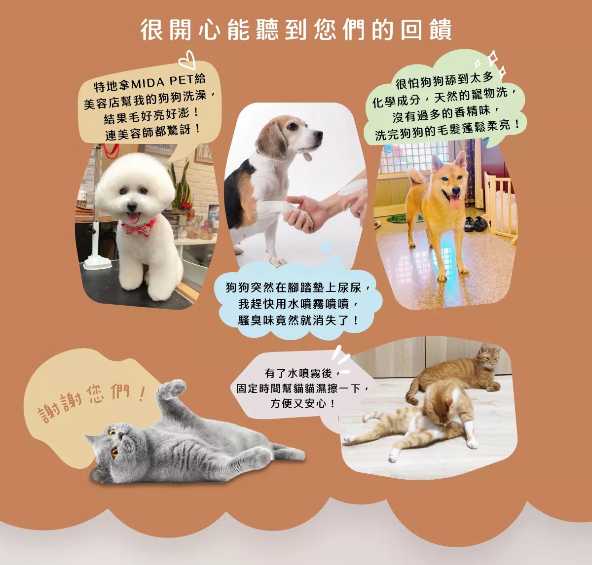 05-MIDA PET 蟲蚤掰掰 洗毛精 【愛家捷】MIDAPET蟲蚤洗毛精