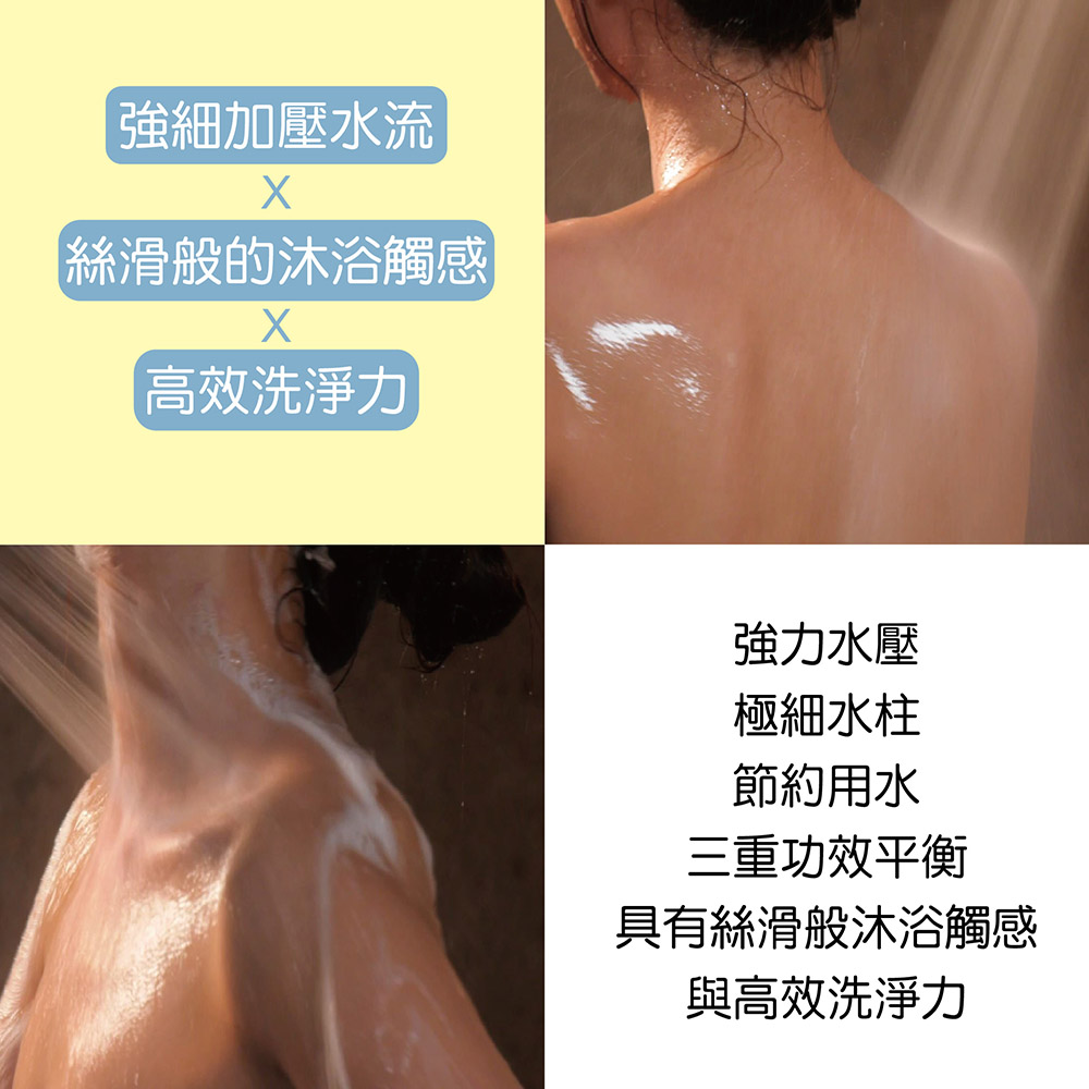 WM-118 金色省水標章賣場圖 【水摩爾】金級省水標章增壓spa蓮蓬頭送除氯過濾器+補充濾芯6個